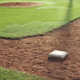 Sod for Baseball fields in Montgomery, Birmingham, Mobile, Pensacola